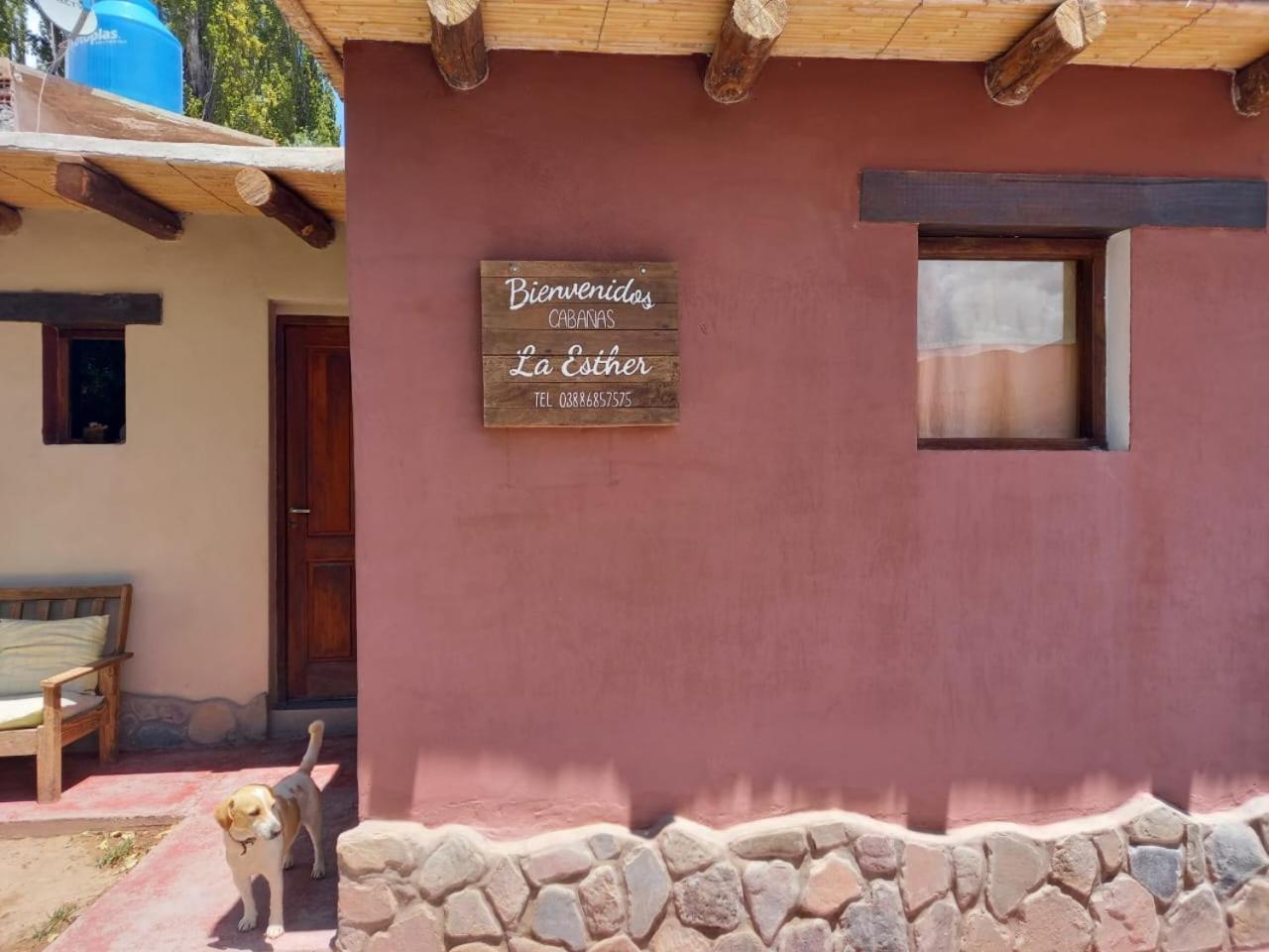 Cabanas La Esther Tilcara Exteriör bild
